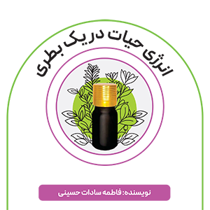 کتاب الکترونیک انرژی حیات در یک بطری